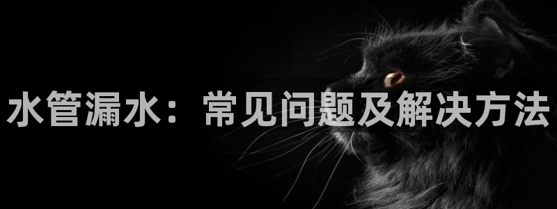 岳阳众腾ktv娱乐