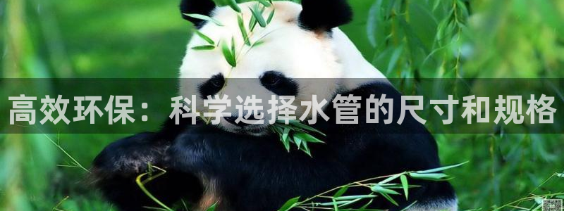 众腾娱乐官方客服电话
