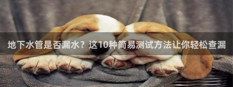 腾讯旗下的腾众娱乐