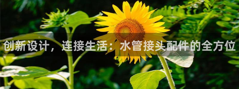 众腾娱乐下7O777