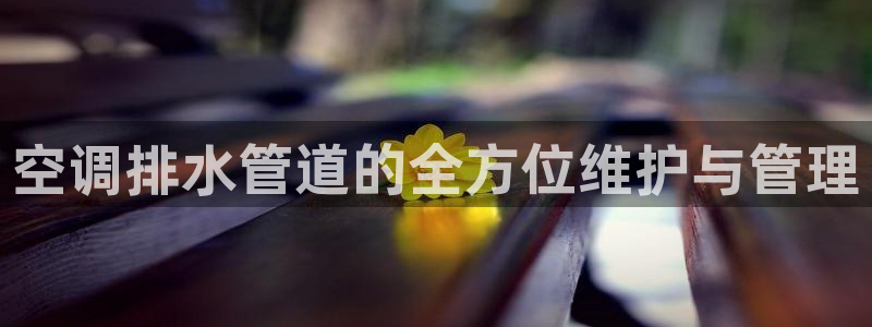 众联别墅g座上腾娱乐有限公司
