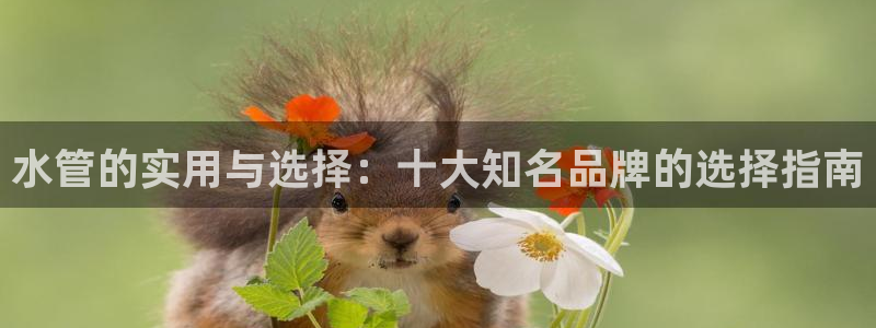 腾众娱乐的彩票靠谱吗