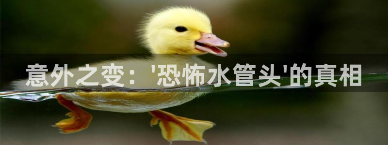 众东腾娱乐客服