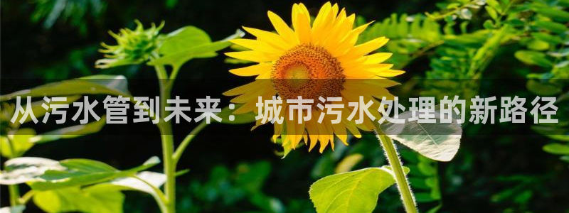 众腾娱乐集团有限公司