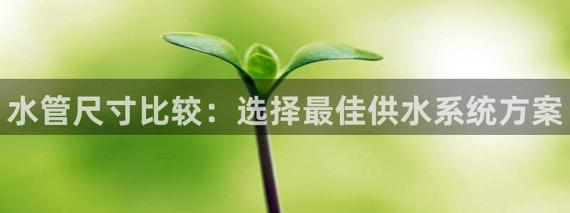 众腾娱乐总代理