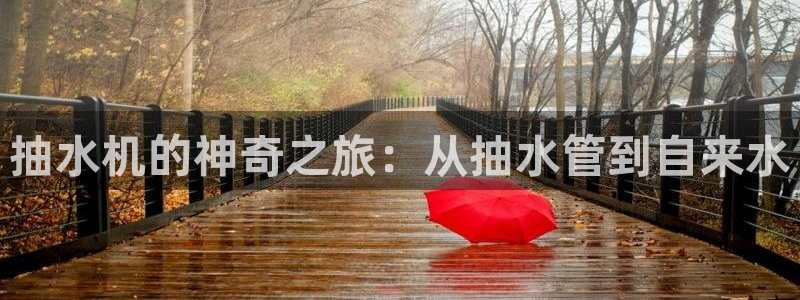 众联别墅g座上腾娱乐有限公司