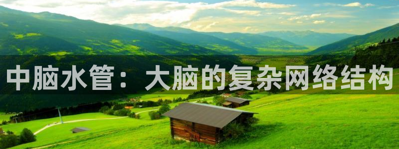 众腾娱乐招商