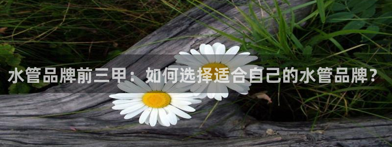 包头众腾娱乐密室逃脱