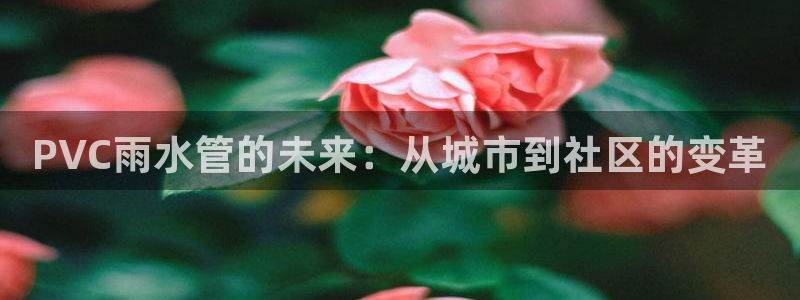 众腾娱乐招商