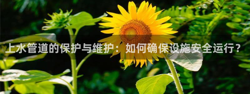 腾耀3娱乐众推8 28