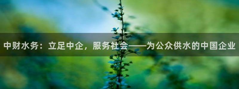 众腾娱乐公司简介