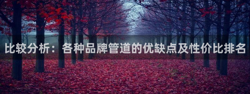 众腾娱乐APP下载