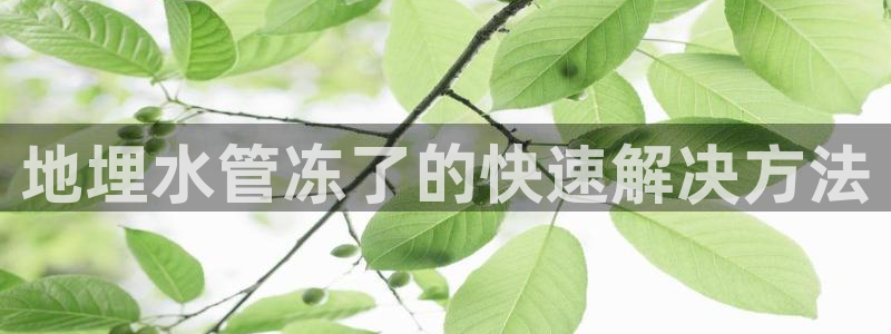众腾娱乐毕 7O935
