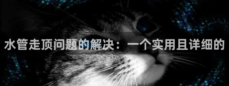 众腾娱乐集团有限公司