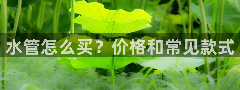 腾众娱乐是个啥