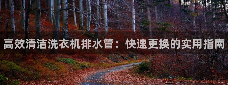 众腾娱乐平台官网入口
