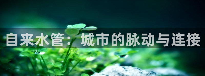 众东腾娱乐客服