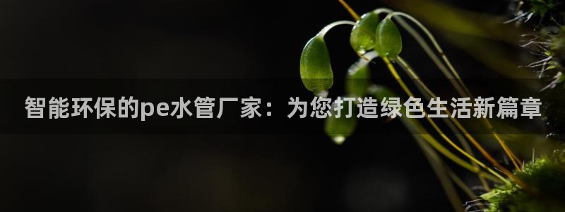 众腾娱乐登入探索无限空间