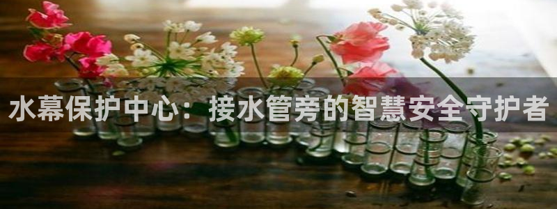 众腾娱乐代理怎么样