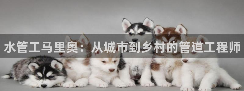众腾娱乐
