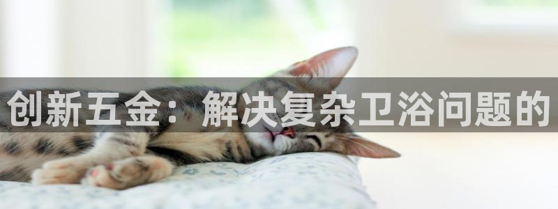 众腾娱乐梦幻演艺店