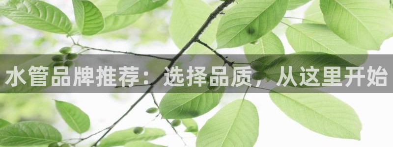 众腾娱乐APP下载