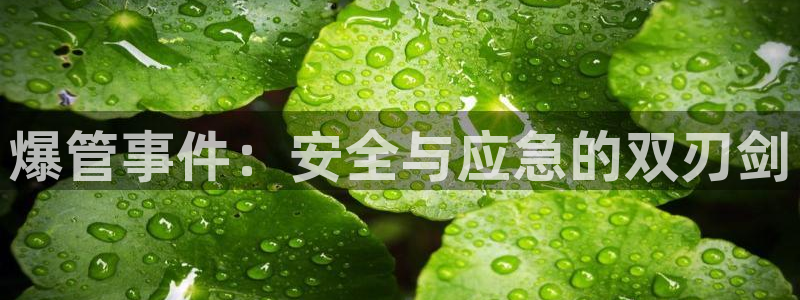 腾耀娱乐众推99840