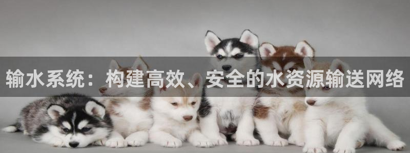 众腾娱乐下7O777