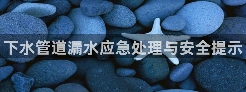 众联别墅g座上腾娱乐有限公司