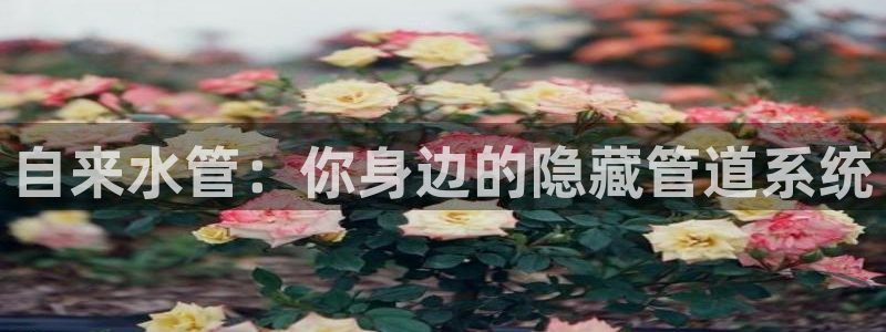 众腾娱乐平台下载