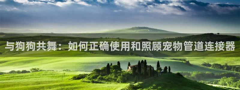 众联别墅g座上腾娱乐有限公司