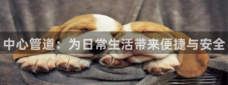 腾耀娱乐众推55312