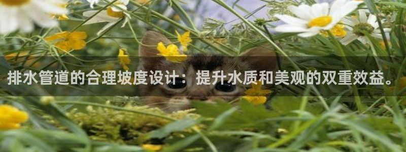 岳阳众腾ktv娱乐