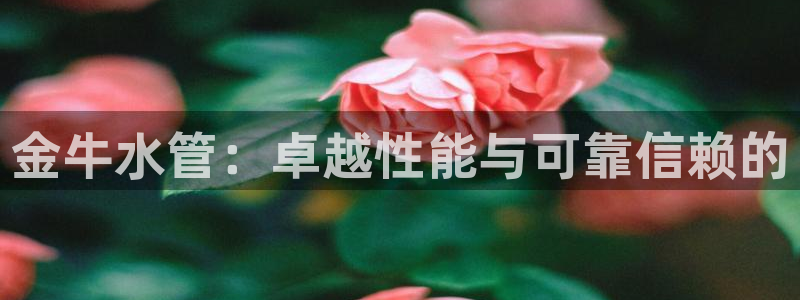 腾耀娱乐29999出众