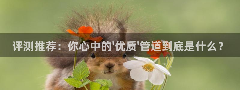 腾耀娱乐众320059