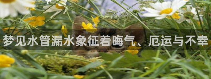 众东腾娱乐客服