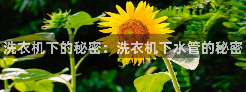 腾耀娱乐众推55312