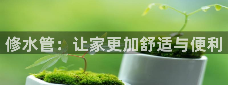 楚雄众腾娱乐在哪里