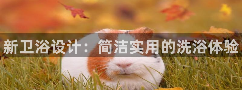 众东腾娱乐客服