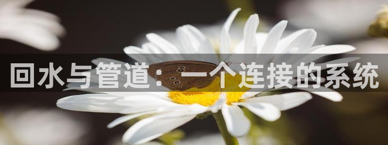 岳阳众腾ktv娱乐