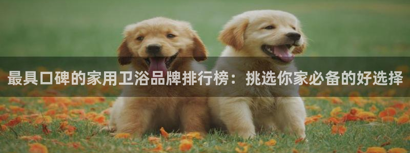 众腾娱乐平台官网入口