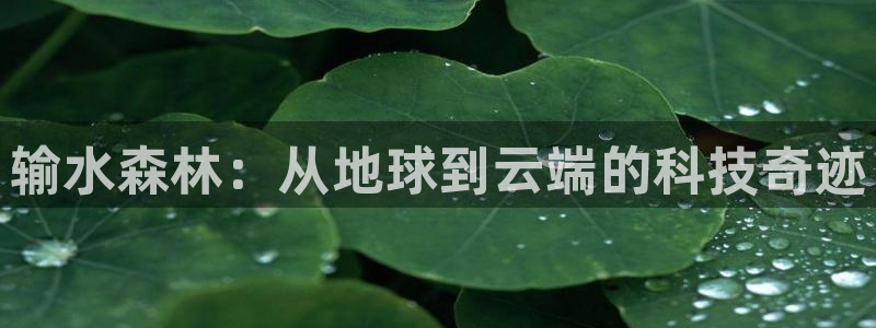 楚雄众腾娱乐