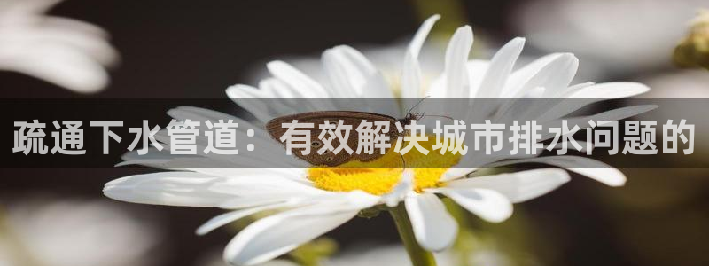 腾众娱乐是个啥