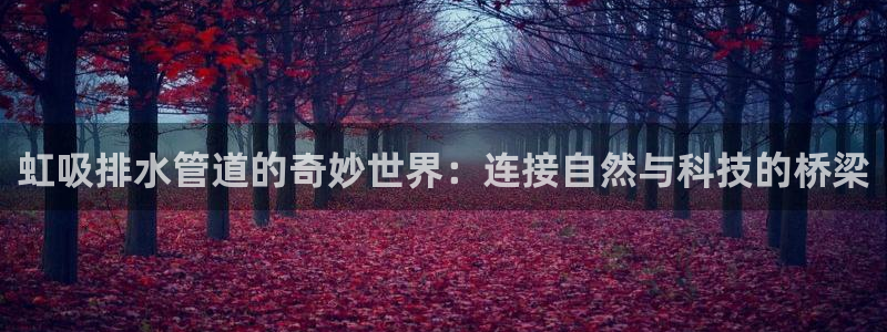 众腾娱乐客服