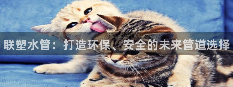 众腾娱乐登入探索无限空间